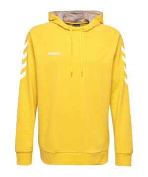 hummel-go-cotton-hoody-kapuzenpullover-f5001-fussball-teamsport-textil-sweatshirts-203508.png