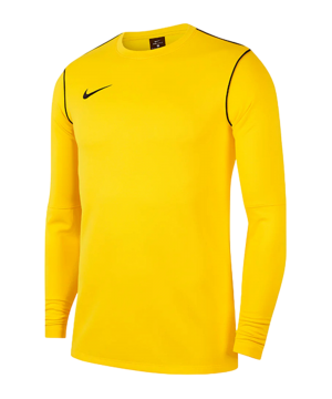 nike-park-20-sweatshirt-gelb-schwarz-f719-fj3004-teamsport_front.png
