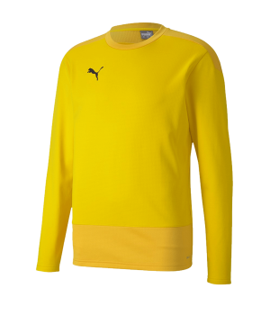 puma-teamgoal-23-training-sweatshirt-gelb-f07-fussball-teamsport-textil-sweatshirts-656478.png