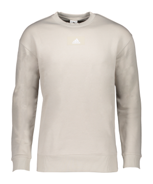 adidas-sweatshirt-grau-hk0396-fussballtextilien_front.png