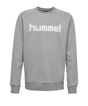 10124773-hummel-cotton-logo-sweatshirt-kids-grau-f2006-203516-fussball-teamsport-textil-sweatshirts.png