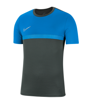 nike-dri-fit-academy-pro-t-shirt-grau-blau-f075-fussball-teamsport-textil-t-shirts-bv6926.png