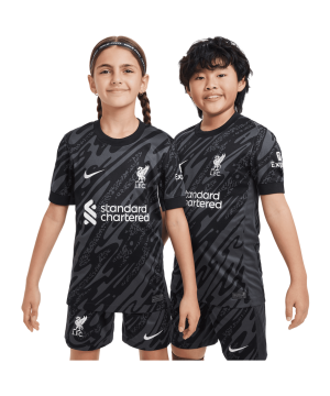 nike-fc-liverpool-torwarttrikot-k-24-25-kids-f061-fn9157-fan-shop_front.png