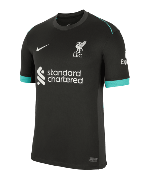 nike-fc-liverpool-trikot-away-2024-2025-grau-f322-fn8780-fan-shop_front.png