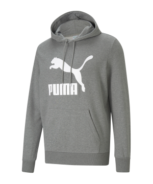 puma-classics-logo-hoody-grau-weiss-f03-530084-lifestyle_front.png