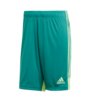 adidas-tastigo-19-short-gruen-gelb-fussball-teamsport-textil-shorts-dp3251.png