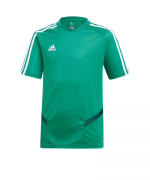 adidas-tiro-19-trainingsshirt-kids-gruen-weiss-fussball-teamsport-textil-t-shirts-dw4810.png