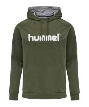hummel-cotton-logo-hoody-grau-f6084-203511-fussballtextilien_front.png