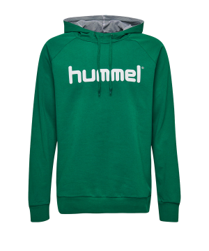 10124749-hummel-cotton-logo-hoody-gruen-f6140-203511-fussball-teamsport-textil-sweatshirts.png