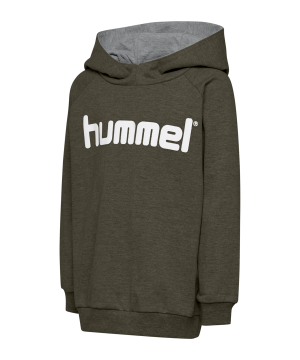 hummel-cotton-logo-hoody-kids-gruen-f6084-203512-teamsport_front.png