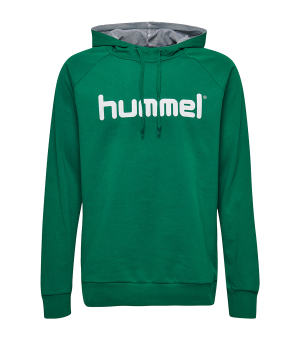 10124754-hummel-cotton-logo-hoody-kids-gruen-f6140-203512-fussball-teamsport-textil-sweatshirts.png