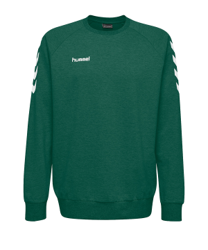 10124825-hummel-cotton-sweatshirt-kids-gruen-f6140-203506-fussball-teamsport-textil-sweatshirts.png