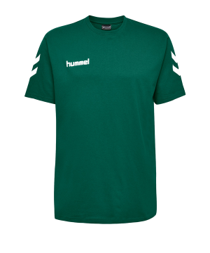 10124844-hummel-cotton-t-shirt-gruen-f6140-203566-fussball-teamsport-textil-t-shirts.png