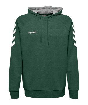 hummel-go-cotton-hoody-kapuzenpullover-f6140-fussball-teamsport-textil-sweatshirts-203508.png