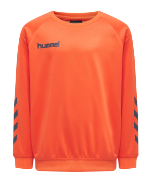 hummel-hmlpromo-poly-sweatshirt-kids-gruen-f3414-205875-fussballtextilien_front.png