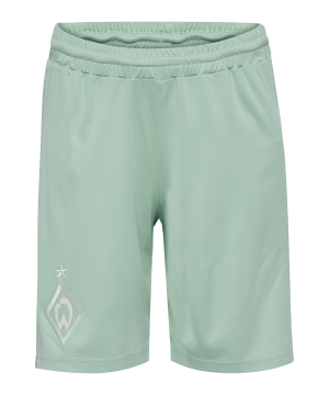 hummel-sv-werder-bremen-short-away-24-25-k-f6117-226738-fan-shop_front.png