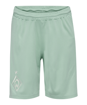 hummel-sv-werder-bremen-short-away-24-25-k-f6117-226739-fan-shop_front.png