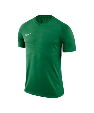 nike-dry-tiempo-t-shirt-gruen-weiss-f302-shirt-funktionsmaterial-teamsport-mannschaftssport-ballsportart-894230.png
