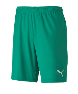 puma-teamgoal-23-knit-short-gruen-f05-fussball-teamsport-textil-shorts-704262.png