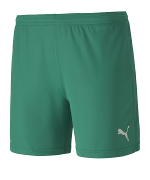 puma-teamgoal-23-knit-shorts-damen-gruen-f05-fussball-teamsport-textil-shorts-704379.png