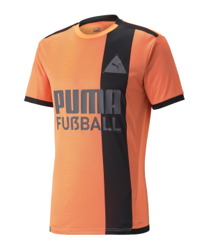 puma-park-trikot-orange-schwarz-f05-657581-teamsport_front.png