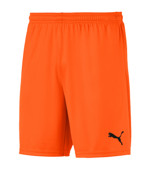 puma-teamgoal-23-knit-short-orange-f08-fussball-teamsport-textil-shorts-704262.png
