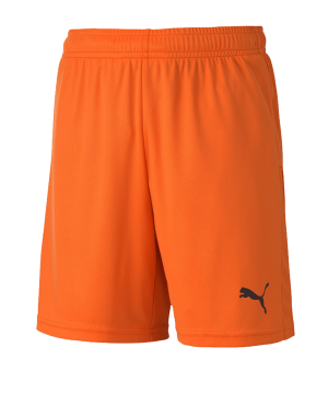 puma-teamgoal-23-knit-short-kids-orange-f08-fussball-teamsport-textil-shorts-704263.png