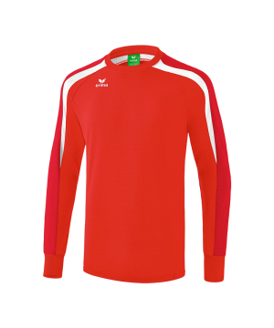 erima-liga-2-0-sweatshirt-rot-weiss-teamsport-pullover-pulli-spielerkleidung-1071861.png