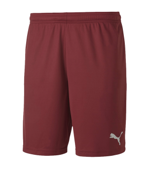 puma-teamgoal-23-knit-short-rot-f09-fussball-teamsport-textil-shorts-704262.png