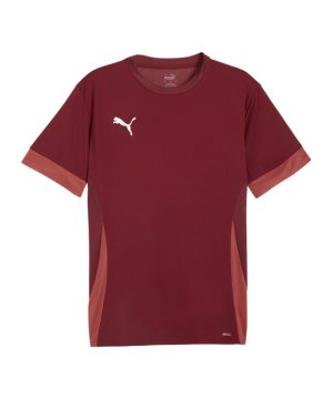 puma-teamgoal-matchday-trikot-rot-weiss-f09-705747-teamsport_front.png