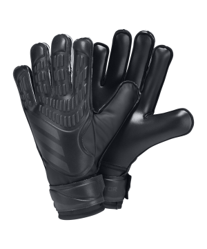 adidas-predator-training-tw-handschuhe-schwarz-iw6280-equipment_front.png