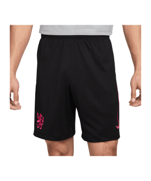 nike-fc-chelsea-short-3rd-2024-2025-schwarz-f010-fq2056-fan-shop_front.png