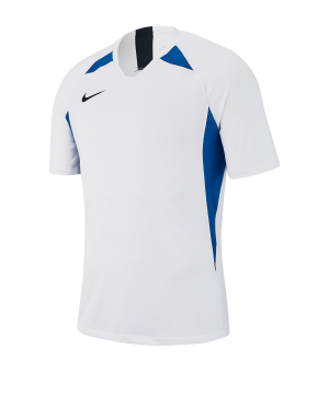 nike-striker-v-trikot-kurzarm-weiss-blau-f102-fussball-teamsport-textil-trikots-aj0998.png